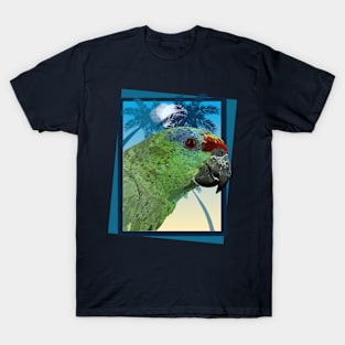 festive rider T-Shirt